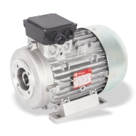 Electric Motors