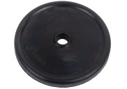 Diaphragm