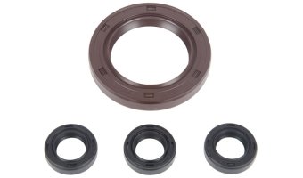 Oil Seal Kit