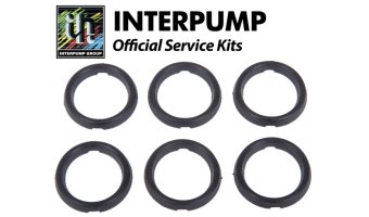 Interpump Service/Repair Kit 21
