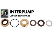 Interpump Service/Repair Kit 166