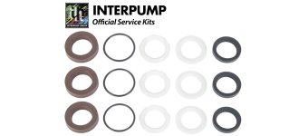 Interpump Service/Repair Kit 314