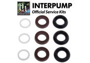Interpump Service/Repair Kit 153