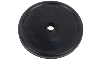Diaphragm
