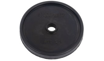 Diaphragm