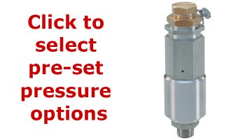 Pratissoli SX2 Safety Relief Valve - AISI 316