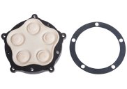 Everflo Diaphragm Assembly