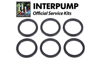 Interpump Service/Repair Kit 129