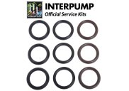 Interpump Service/Repair Kit 190