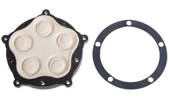Everflo Diaphragm Assembly