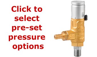 Pratissoli S1503 Certified Safety Relief Valve