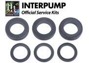 Interpump Service/Repair Kit 202