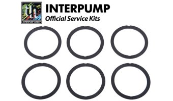 Interpump Service/Repair Kit 48