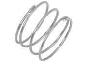 Valve Spring