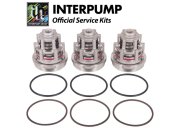 Interpump Service/Repair Kit 2013