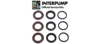 Interpump Service/Repair Kit 196