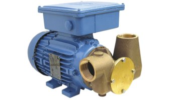 Jabsco P80 110V Utility Pump