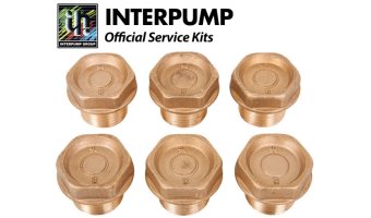 Interpump Service/Repair Kit 4