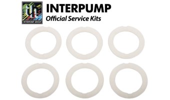Interpump Service/Repair Kit 11