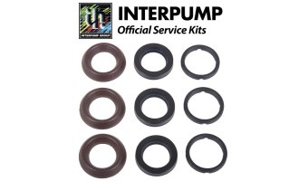 Interpump Service/Repair Kit 196