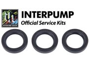 Interpump Service/Repair Kit 159