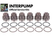 Interpump Service/Repair Kit 2030
