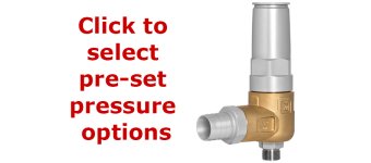 Pratissoli S455 Certified Safety Relief Valve