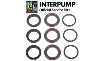 Interpump Service/Repair Kit 197