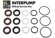 Interpump Service/Repair Kit 272