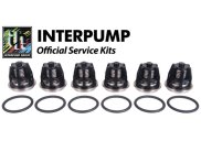 Interpump Service/Repair Kit 43