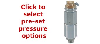 Pratissoli SX3 Safety Relief Valve - AISI 316