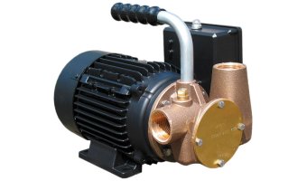 Jabsco P40 110V Utility Pump