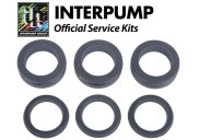 Interpump Service/Repair Kit 208