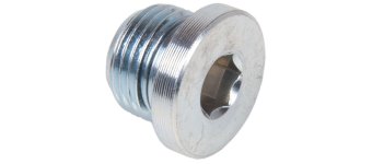 Allen Key Plug with Seal