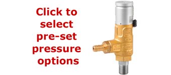 Pratissoli S1503 Certified Safety Relief Valve