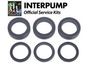 Interpump Service/Repair Kit 210