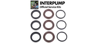 Interpump Service/Repair Kit 197