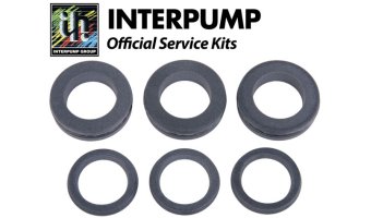 Interpump Service/Repair Kit 202