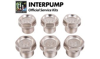 Interpump Service/Repair Kit 106