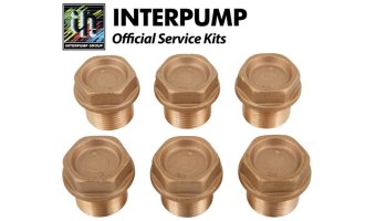 Interpump Service/Repair Kit 124